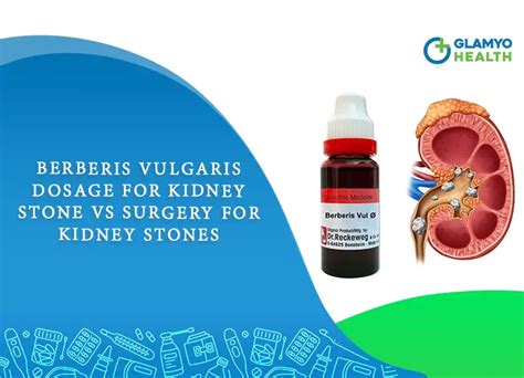 burberry homeopathic medicine|berberis vulgaris for kidney stone.